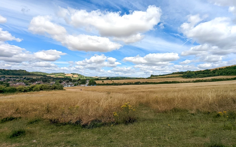 A picture of Cissbury Fields looking towards Findon Valley